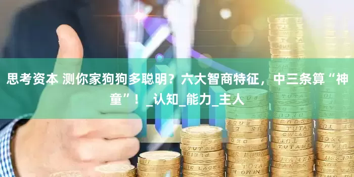 思考资本 测你家狗狗多聪明？六大智商特征，中三条算“神童”！_认知_能力_主人