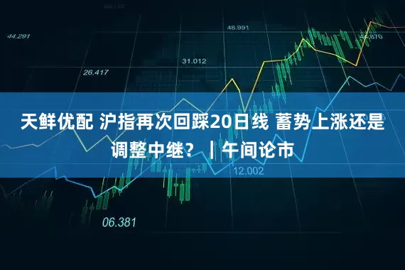 天鲜优配 沪指再次回踩20日线 蓄势上涨还是调整中继？｜午间论市